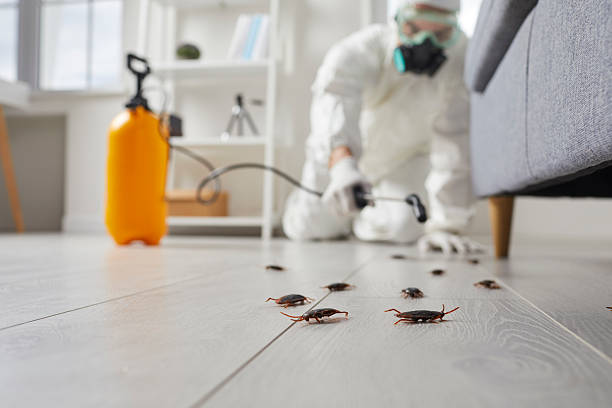 Trusted Rodent Control service in Forest Oaks, NC - Nex Pest Control